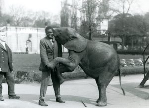 Un giovane elefante pigmeo africano si alza sulle zampe posteriori per abbracciare il suo addestratore africano, mentre il custode osserva, Zoo di Londra, luglio 1925 da Frederick William Bond