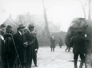 Un elefante indiano, forse Sundermalah, che partecipa a una trasmissione esterna dallo Zoo di Londra, 1925 da Frederick William Bond