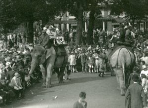 Giri in elefante, con due elefanti asiatici osservati da folle di spettatori allo Zoo di Londra nell