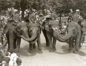 Giri in elefante allo zoo di Londra, luglio 1936 da Frederick William Bond