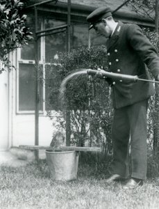 Thomas Raggett che fa la doccia a un Tawny Frogmouth, Zoo di Londra, 1924 da Frederick William Bond