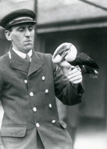 Il guardiano Thomas Raggett tiene un tucano dal becco rosso con un uovo in bocca allo Zoo di Londra nel 1924 da Frederick William Bond