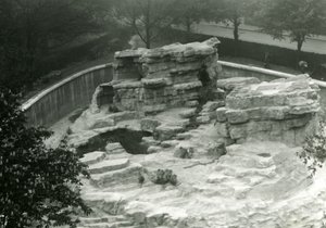 Collina delle Scimmie vista dalla cima delle Terrazze Mappin, Zoo di Londra da Frederick William Bond
