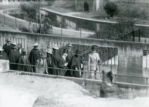 Sir Peter Chalmers Mitchell, con il reggente etiope Haile Selassie e il suo entourage, osservando un orso bruno sulle terrazze Mappin, Zoo di Londra, 1924 da Frederick William Bond