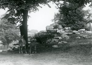 Il recinto degli eland al London Zoo nel 1924 da Frederick William Bond