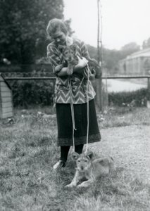 Due cuccioli di leone con una giovane donna allo Zoo di Londra, agosto 1925