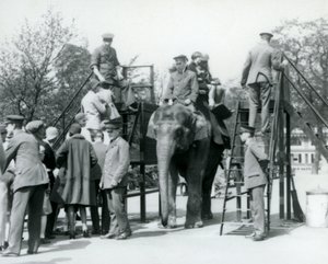 Visitatori in fila per un giro in elefante mentre altri si imbarcano, con l