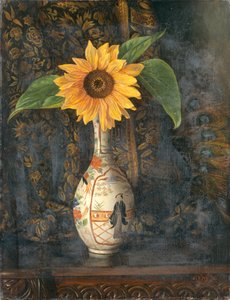 Un girasole