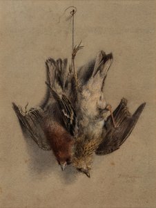 Natura morta, Allodole da Frederick William Jackson