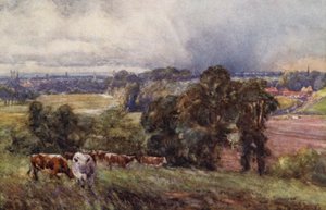 Leamington e Warwick dalle Colline Campion da Frederick William Newton Whitehead