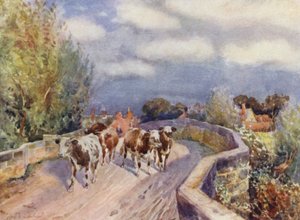 Ponte di Marton