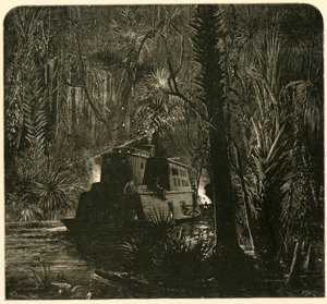 Risalendo il fiume Ocklawaha di notte, 1872