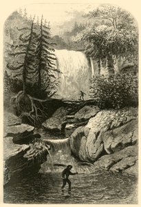 Cascate del Blackwater, 1872 da Frederick William Quartley