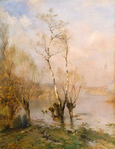 Le betulle, di Federico Rossano da Frederico Rossano