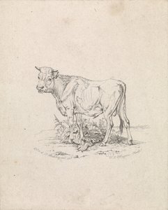 Toro da Frederik Lodewijk Huygens