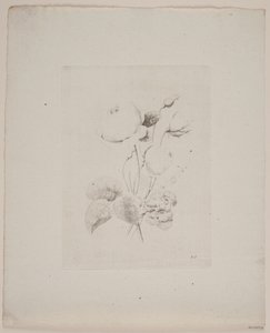 Motivo floreale da Frederik Schepelern
