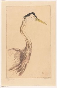Airone da Frederika Henriëtte Broeksmit (signed by artist)
