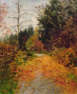 Soggetto autunnale da Fredrik Kolstoe