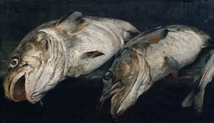 Merluzzo da Fredrik Kolstoe