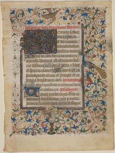 Foglio di manoscritto da un libro d
