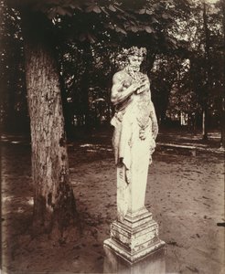 Versailles-Fauno da Eugène Atget
