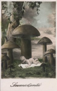 Bambino in un campo di funghi