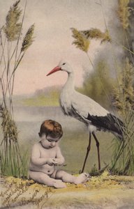 Bambino con cicogna