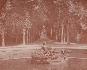 Bacino di Flora, Parco di Versailles da French Photographer