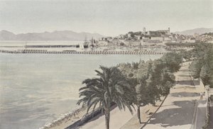 Cannes, Porto e Città vecchia, Boulevard de la Croisette da French Photographer
