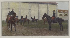Cavalieri in addestramento