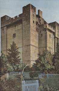 Chambois, Il Castello, il Donjon, Lato S O da French Photographer