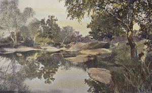Fontainebleau, foresta, stagno di Franchard da French Photographer