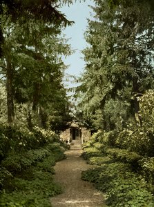 Sentiero nel giardino di Claude Monet, Giverny da French Photographer
