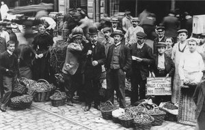 Giardinieri del mercato di Les Halles, Parigi, 1907 da French Photographer