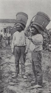 Vendemmiatori al lavoro da French Photographer