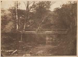 Paesaggio con alberi e ponte, c. 1850 (foto) da French Photographer