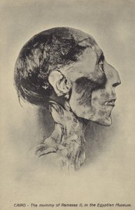 Mummia di Ramses II