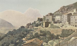 Ota e il Capo d