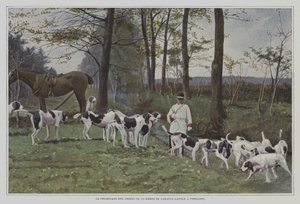 Branco di cani da caccia del Barone de Carayon-Latour a Virelade, Francia da French Photographer