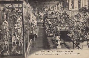 Parigi, Jardin des Plantes da French Photographer