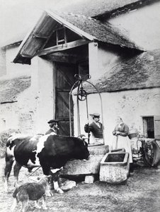 Contadini intorno a un pozzo, in un cortile di una fattoria, c.1860-70 (foto b/n)