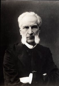 Ritratto di Aime Joseph Edmond Rousse (1817-1906), avvocato francese da French Photographer