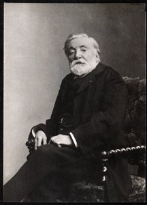 Ritratto di Étienne Charles Henri, visconte di Bornier da French Photographer