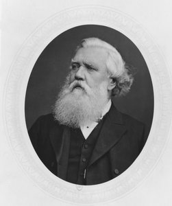 Ritratto di Henry Layard