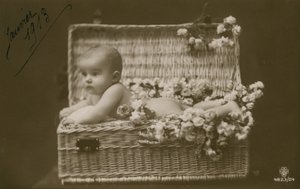 Bambino in un cesto di vimini con fiori