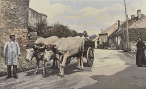 Saulieu, Un tiro nel Morvan da French Photographer