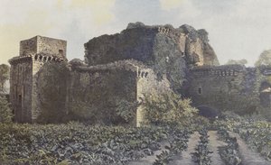 Tiffauges, Rovine del Castello, Vista dalla corte da French Photographer