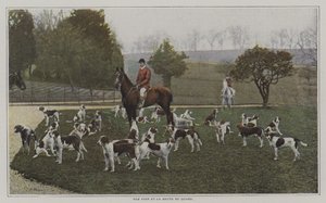 Tom Firr e i cani della Quorn Hunt, Leicestershire da French Photographer