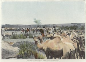 Abbeverare i cammelli alla fonte nel deserto da French Photographer