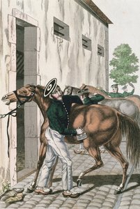 Un dragone che cura il suo cavallo, tavola 257 da una serie di soldati imperiali francesi, c.1800-10 da French School